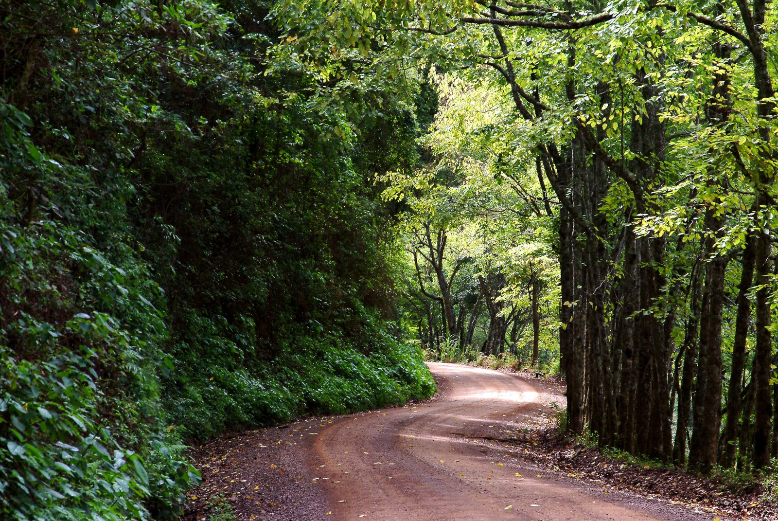 Caminho de terra 2185