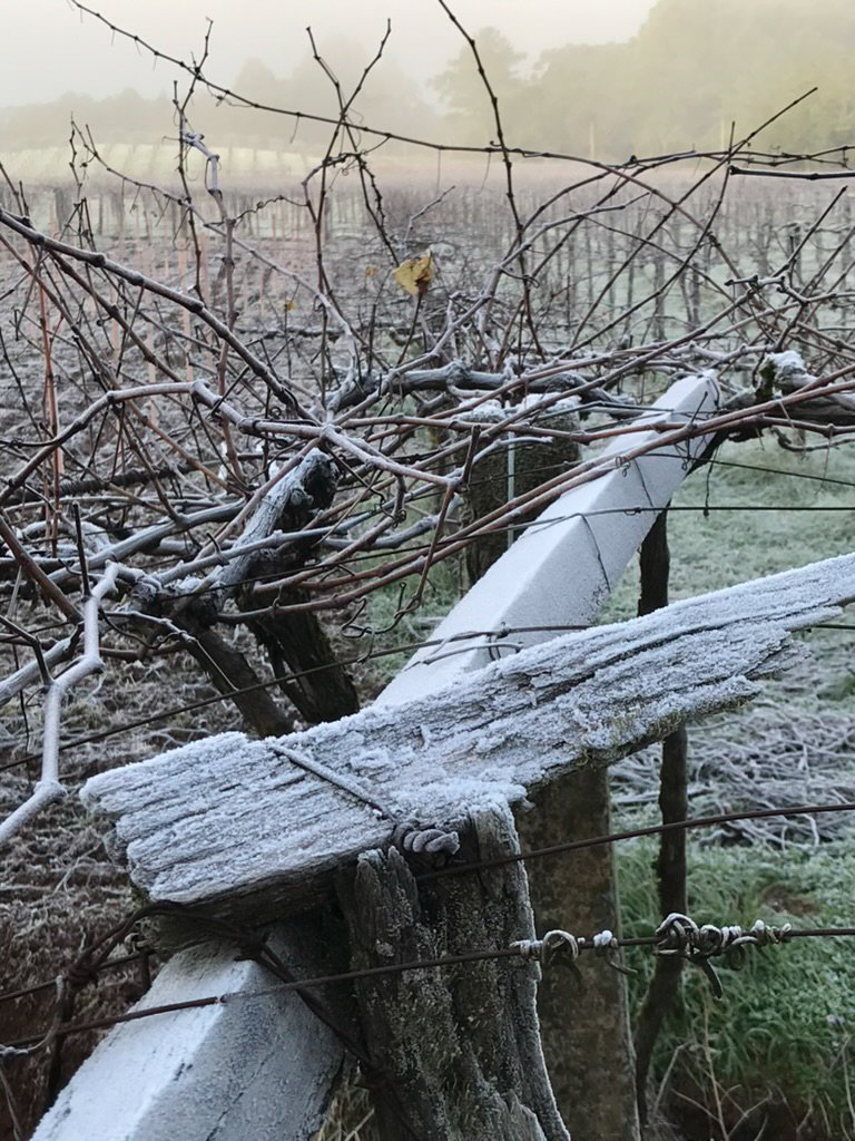 AD121298-955C-4A8A-B599-74F7E361B65D_1_105_c