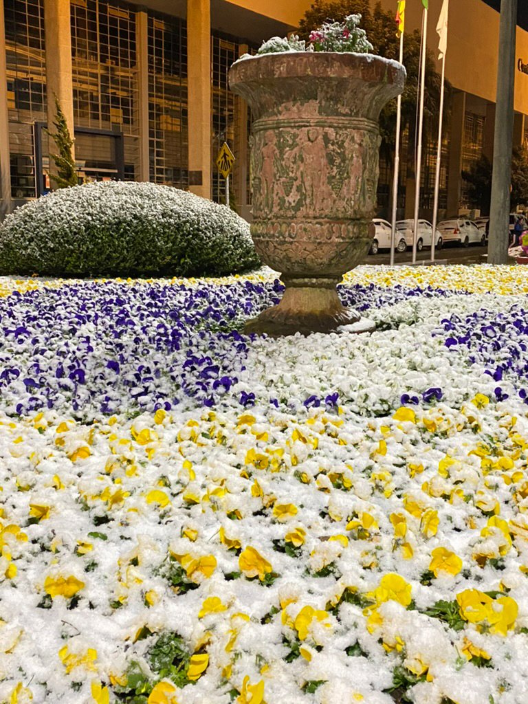 B84AC30D-C1D7-43A5-9336-633904EEE729_1_105_c